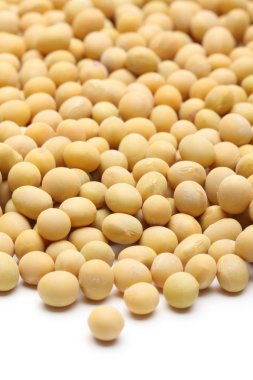 soya Lesitin Granül