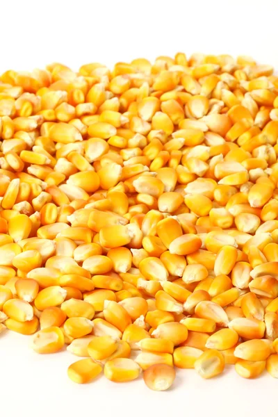 Pop corn. — Stock Photo, Image