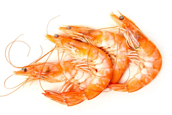 Shrimps — Stock Photo, Image