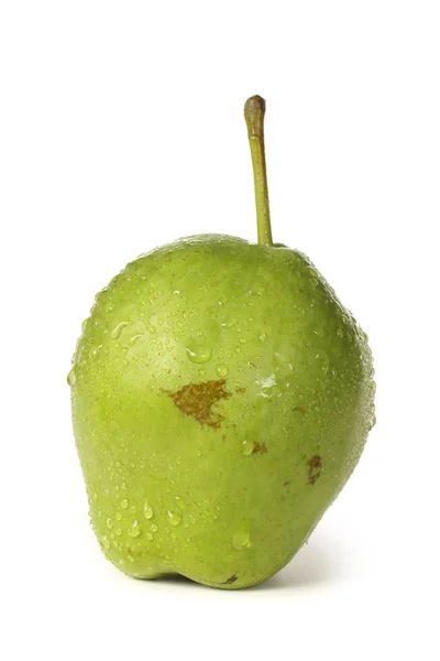 Зелений груші — стокове фото