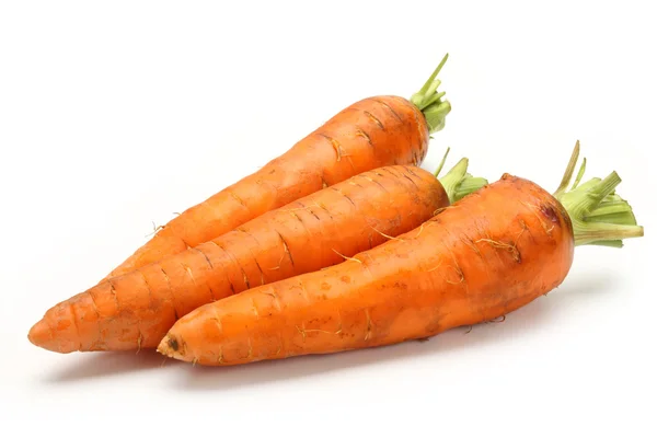 Carrot — Stock Photo, Image