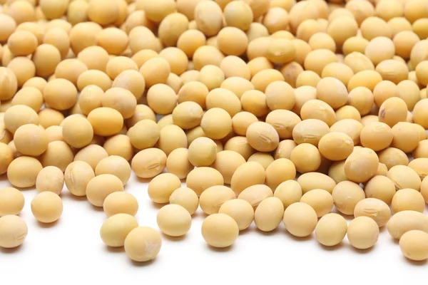 Soy lecithin granules — Stock Photo, Image