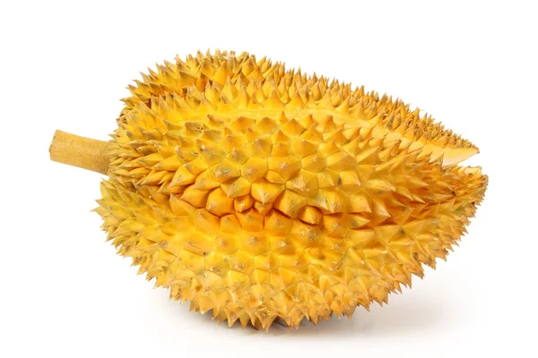 Durian — Zdjęcie stockowe