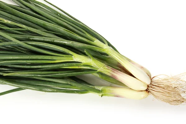 Bio leek — Stock Photo, Image