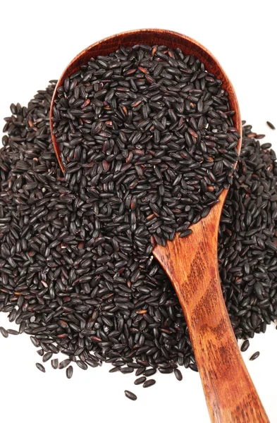 Arroz preto — Fotografia de Stock