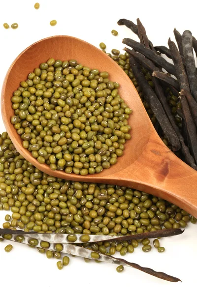 Mung beans — Stock Photo, Image