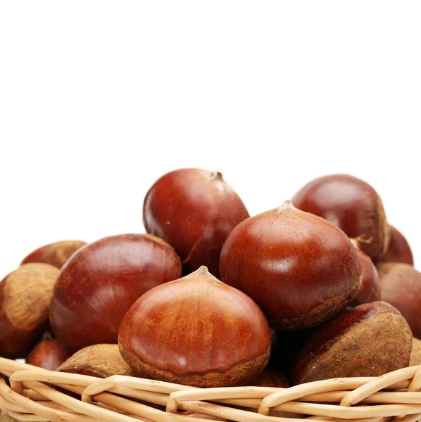 Hazelnuts — Stock Photo, Image