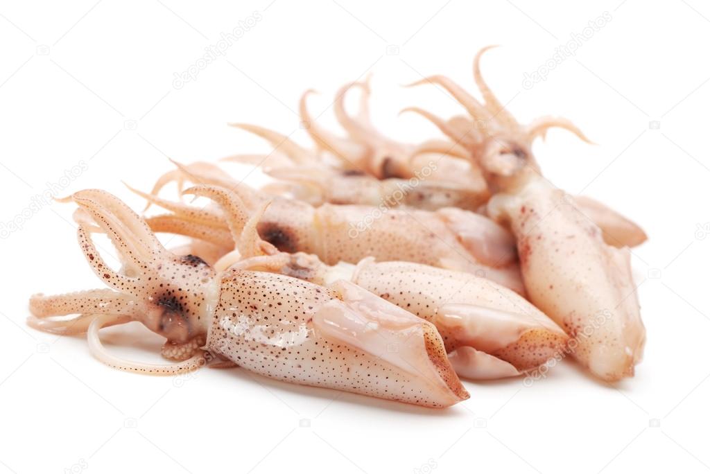 Squids