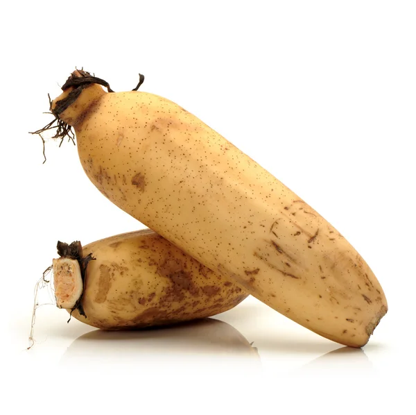 Lotus root — Stock Photo, Image