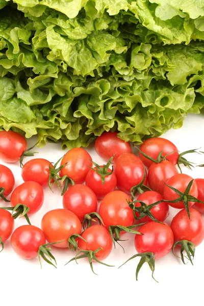 Pomodoro ciliegia — Foto Stock