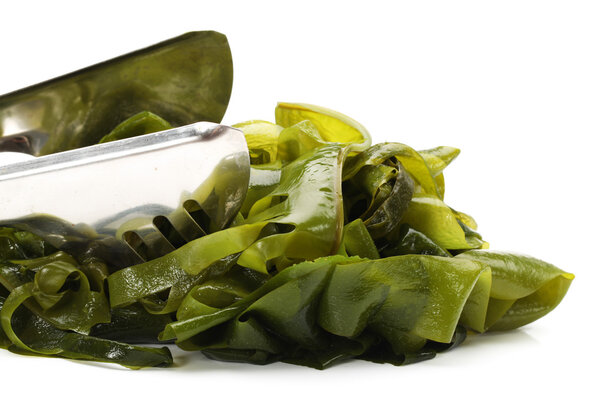 Seaweed