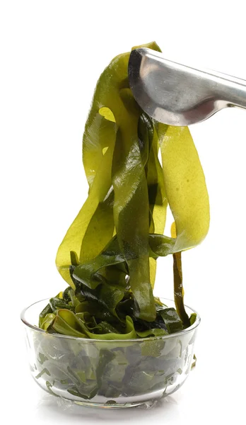 Seaweed — Stock Photo, Image