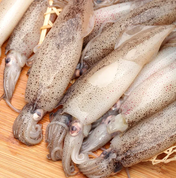 Freshly caught squid — Stock Photo, Image
