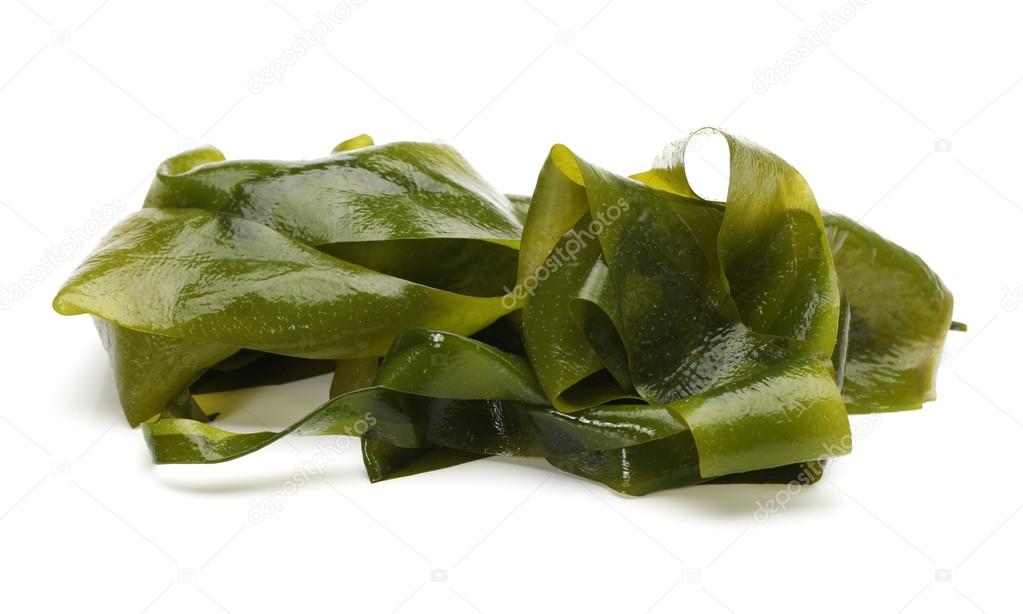 Seaweed