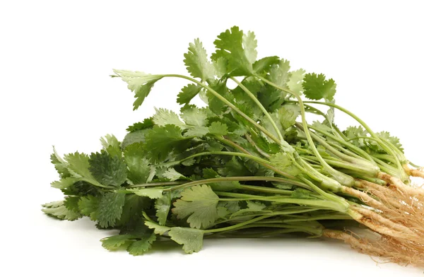 Parsley — Stock Photo, Image