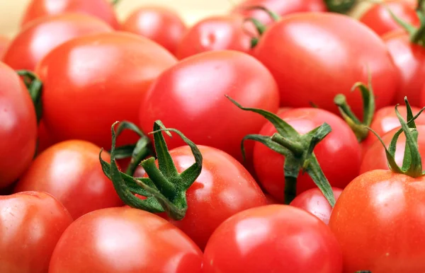 Kirschtomaten — Stockfoto