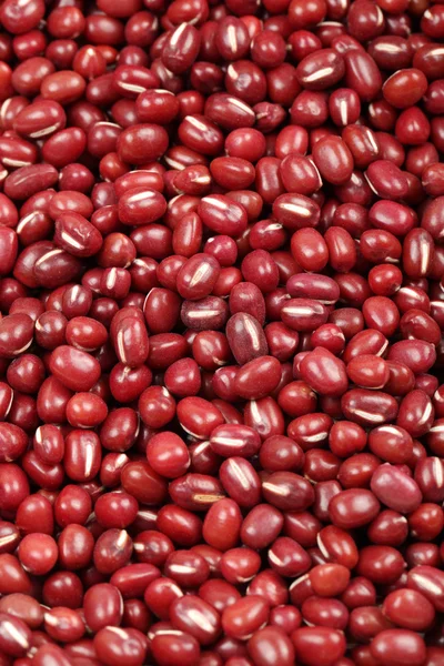 Red beans background — Stock Photo, Image