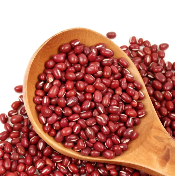 Red beans — Stock Photo, Image