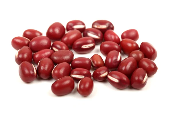 红豆 — 图库照片