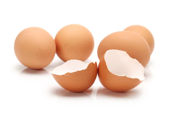 Collezione di uova isolata su sfondo bianco — Foto Stock