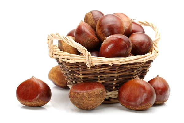 Chestnut — Stock Photo, Image