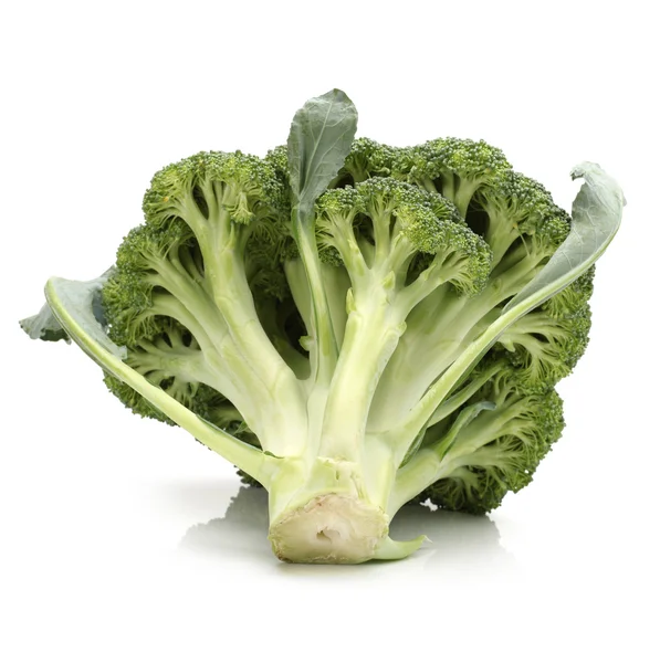 Broccoli — Stockfoto