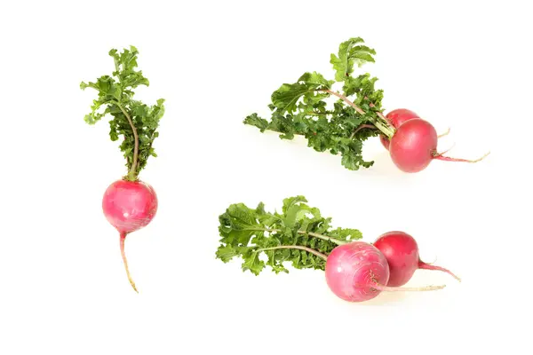 Red Cherry radish — Stock Photo, Image