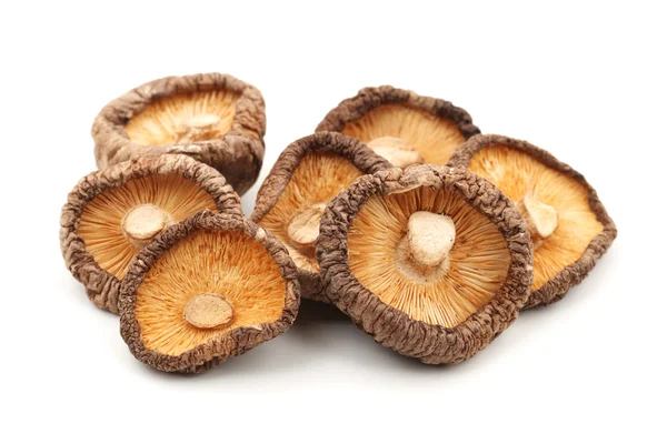 Сухие грибы — стоковое фото