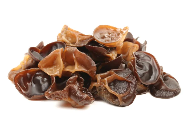 Black fungus — Stock Photo, Image