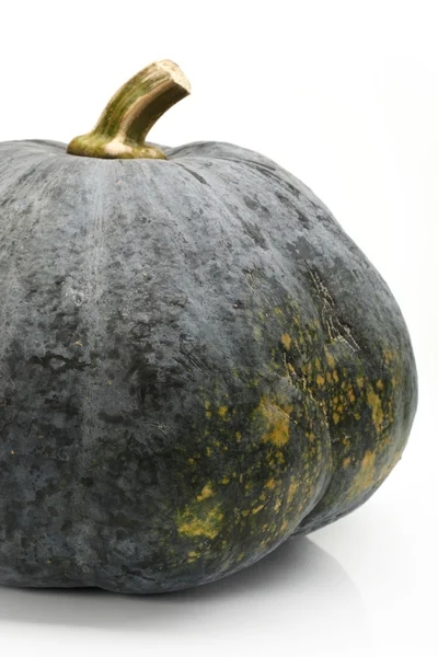 Green pumpkin — Stock Photo, Image