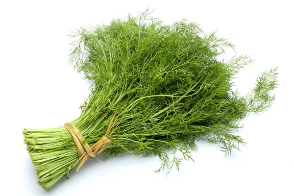 Färsk dill — Stockfoto