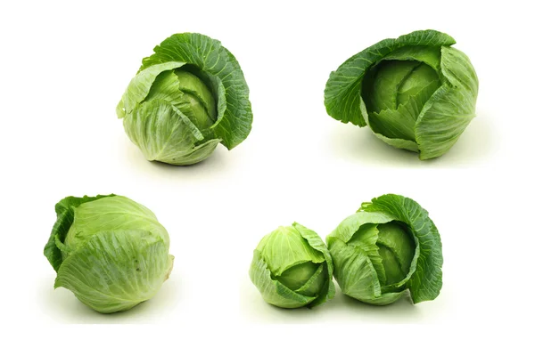 Cabbage — Stock Photo, Image