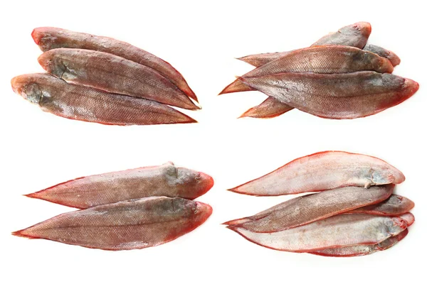 Rohe Fische auf weißem Hintergrund — Stockfoto