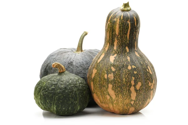 Green pumpkin Stock Image