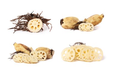 Lotus Root