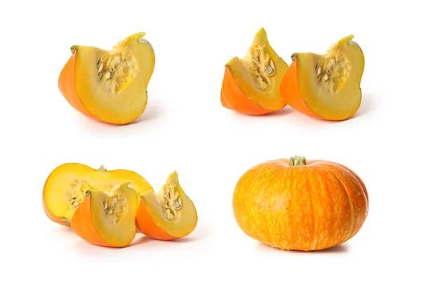 Orange pumpa — Stockfoto