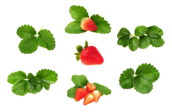 Erdbeeren und Blätter — Stockfoto