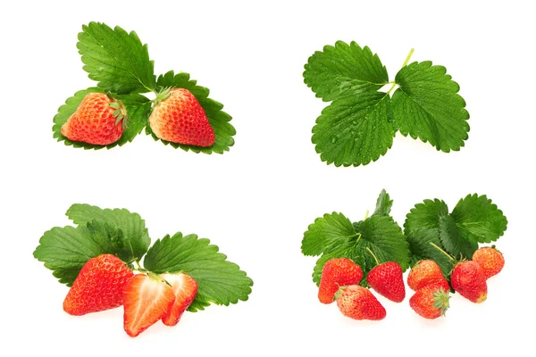 Erdbeeren und Blätter — Stockfoto