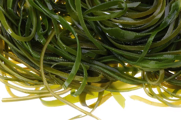 Kelp verde — Foto Stock