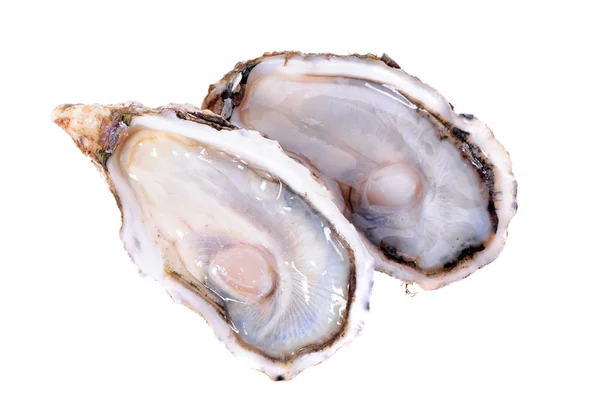 Levend oesters — Stockfoto