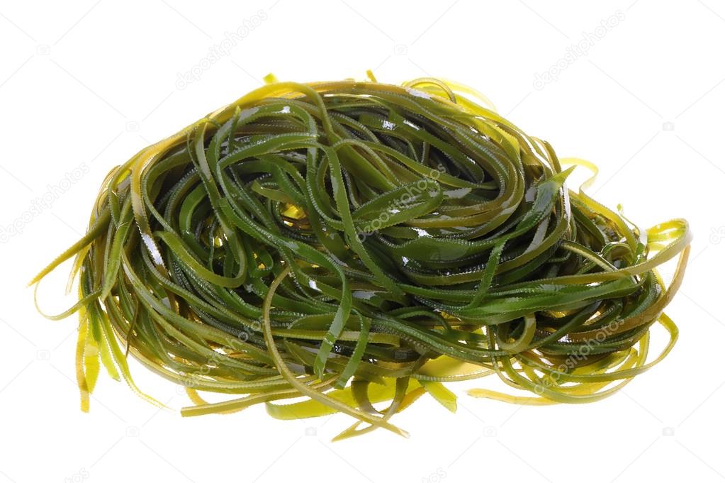 Green Kelp