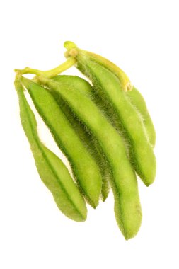 hermoso paisaje con flores violetas