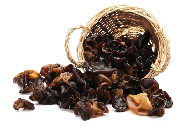 Black fungus — Stock Photo, Image