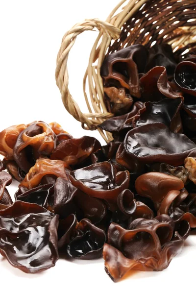 Black fungus — Stock Photo, Image