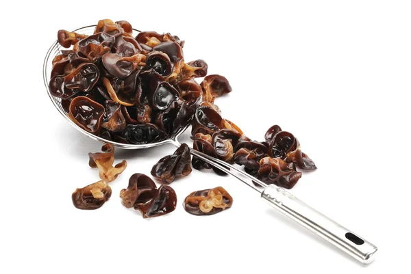 Black fungus — Stock Photo, Image