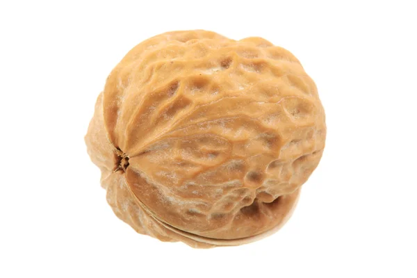 Walnuts — Stock Photo, Image