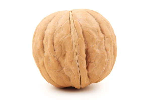 Walnut — Stock Photo, Image