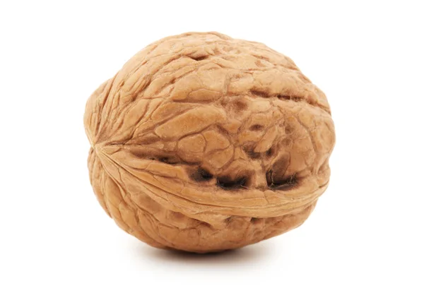 Walnut — Stock Photo, Image