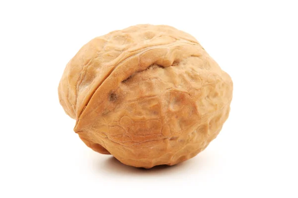 Walnut — Stock Photo, Image