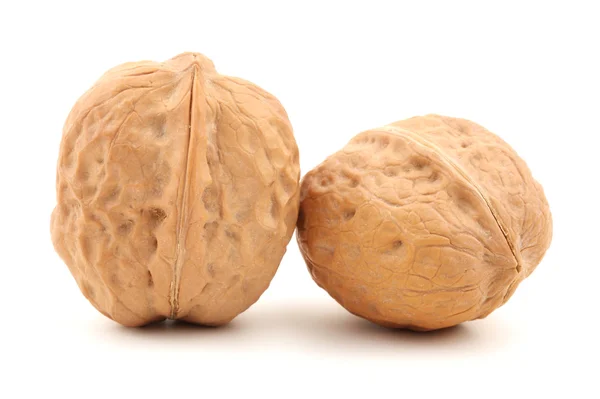 Walnut — Stock Photo, Image